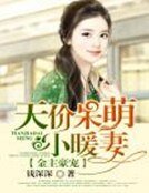 金主豪寵:天價呆萌小暖妻