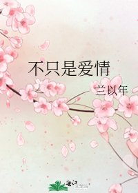 不只是爱情